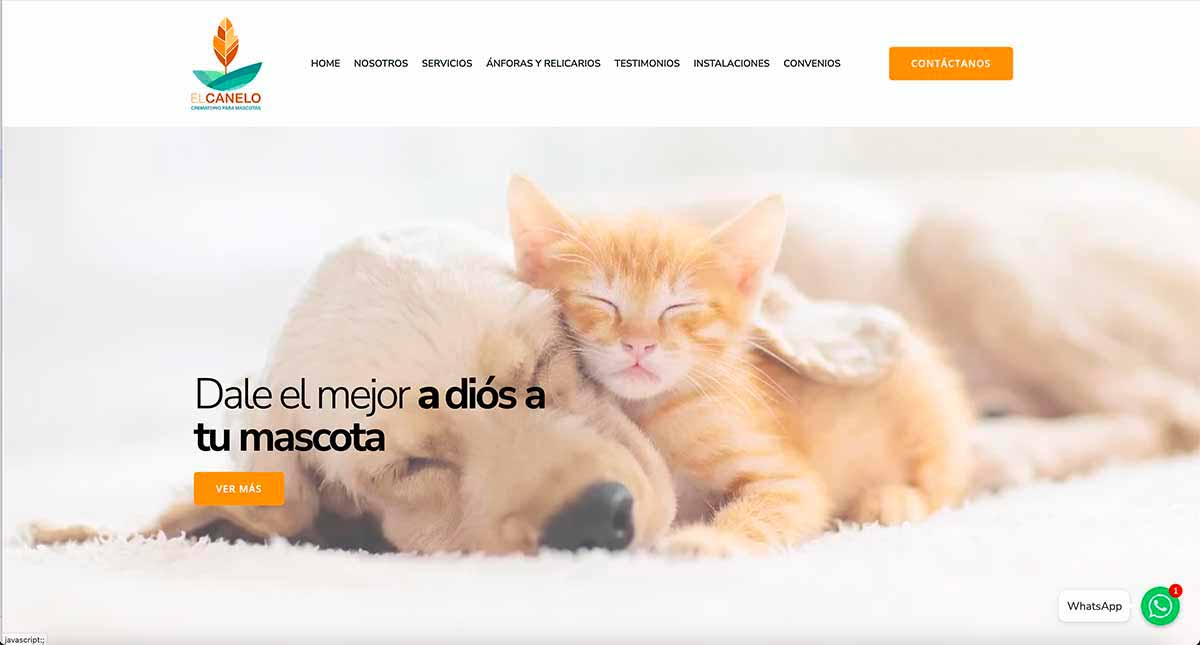 Crematorio de mascotas en la R.M
